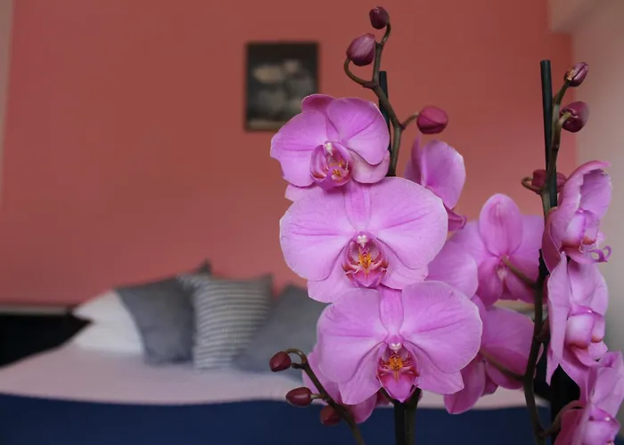 Tramonti Green トラモンティ